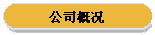 公司概况