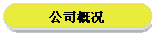 公司概况