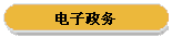 电子政务
