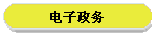 电子政务