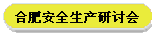 合肥安全生产研讨会
