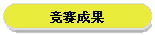 竞赛成果