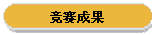 竞赛成果