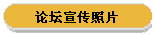 论坛宣传照片