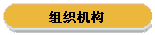 组织机构